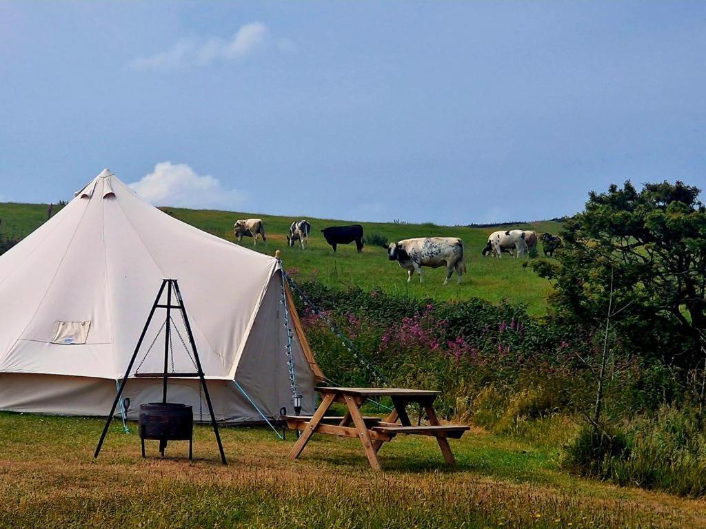 Beautiful 1-Bed Bell Tent In Holyhead Exteriör bild